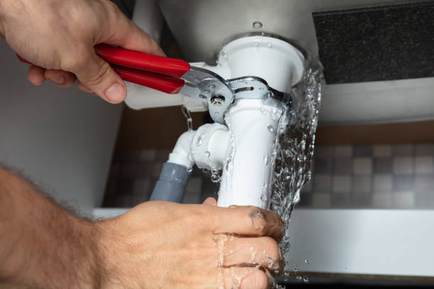 Best Mold removal after water damage  in Kersey, CO