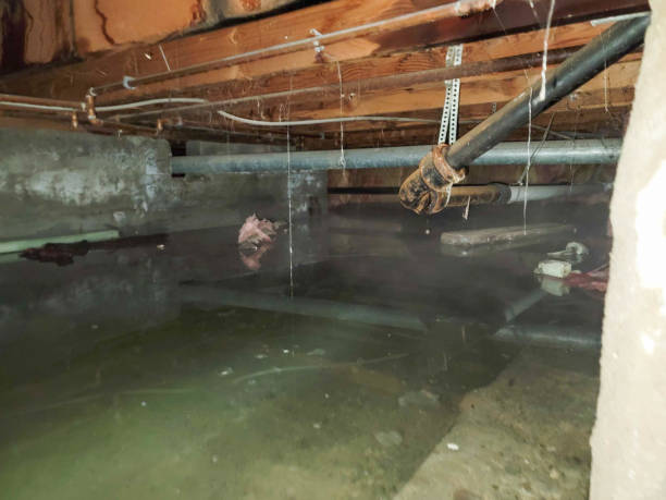 Best Emergency water damage restoration  in Kersey, CO