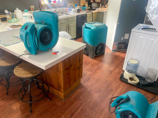 Best Flooded house restoration  in Kersey, CO