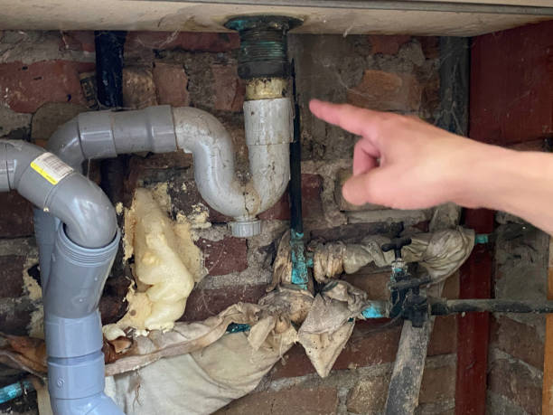 Best Sewage cleanup and water damage restoration  in Kersey, CO