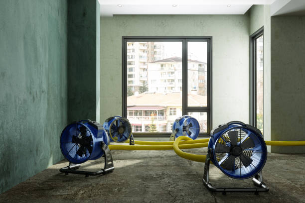 Best Water damage restoration process  in Kersey, CO